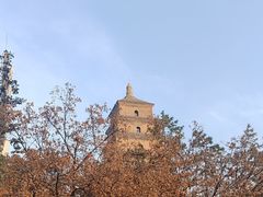 -大慈恩寺(大雁塔)