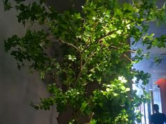 -唐宫足道·SPA·住宿24H会所(木渎店)