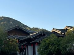 -大唐贡茶院