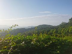 -火炉山森林公园