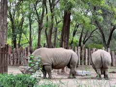 -北京野生动物园