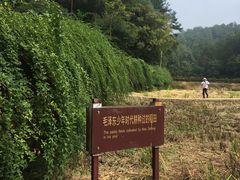 -韶山毛泽东同志故居