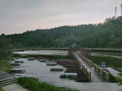 -神光山国家森林公园