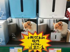 -米卢宠物公园(广华居店)