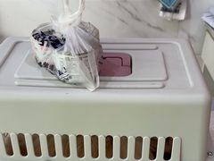 -萌兽医馆·宠物医院·猫骨科(创景店)