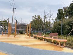 -昆山城市生态森林公园