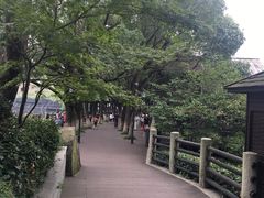 -白马涧龙池景区