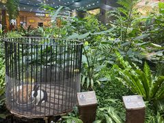 -凯德广场(学府店)