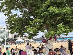 -青岛第一海水浴场