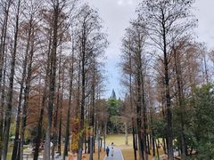 -四海公园(南山区)