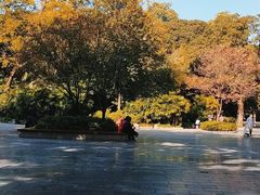 -柳侯公园