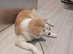 -YCHL Studios健身工作室(市二宫店)