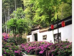-杭州黄龙洞
