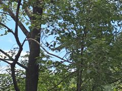 -洛阳白云山景区