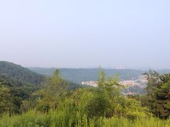 -高尔山公园