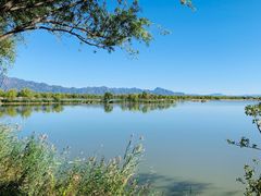 -野鸭湖国家湿地公园