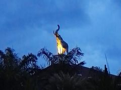 -清迈夜间动物园