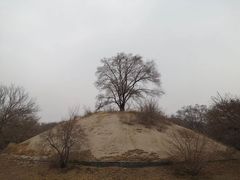 -北陵公园