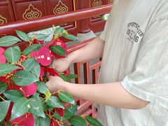 -南岳衡山风景名胜区-南岳大庙