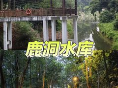 -火炉山森林公园