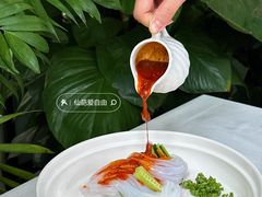 -梧桐