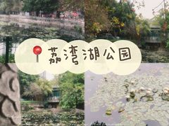 -荔湾湖公园