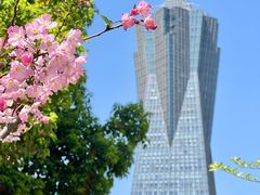 -西湖文化广场