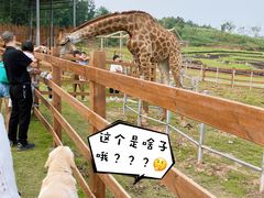 -黄龙溪欢乐田园