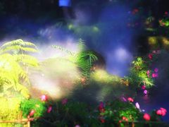 -Chom Cafe and Restaurant