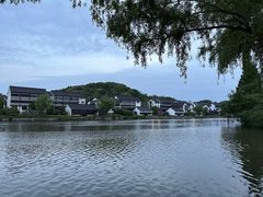 -鲁镇