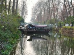 -合肥滨湖国家森林公园