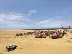 -黄沙古渡原生态旅游区