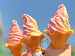 -蓬莱欧乐堡梦幻世界