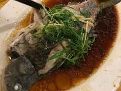 -鸿达渔港