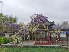 -杨家埠民间艺术大观园