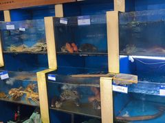 -鹰龙海畔度假酒店(咸祥店)