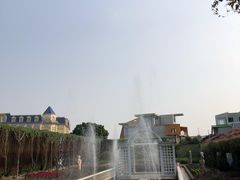 -百万葵园