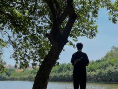 -三水森林公园