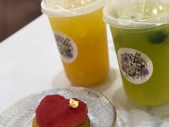 -Husky Go! 哈士奇体验馆·宠物咖啡厅狗咖