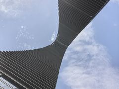 -洄归山也·高空C位湖景下午茶(东方之门店)