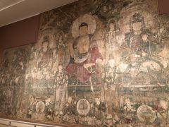 -美国自然历史博物馆