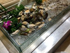 -汕头猛狮凯莱酒店点心坊