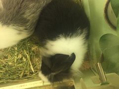 -龙猫仔乐园(惠福东路店)