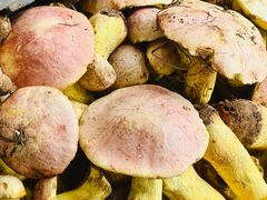 -双喜农庄·菌香园(安居家园店)