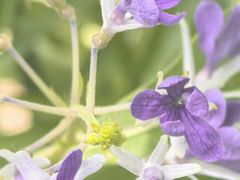 -北京植物园-展览温室