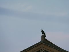 -修脚房(东洪广厦店)