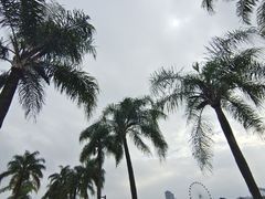 -南宁南湖公园