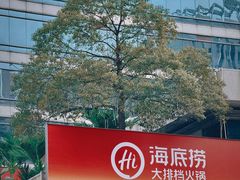 -海底捞大排档火锅(打浦路店)