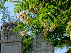 -北京石刻艺术博物馆(五塔寺)