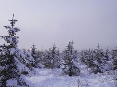 -密苑云顶乐园(云顶滑雪场)